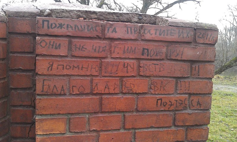 IMAG0160_1.jpg (499.28 Кб) Просмотров: 18703 IMAG0160_1.jpg