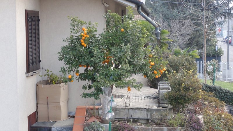 DSC01934.JPG (1.7 Мб) Просмотров: 28488 DSC01934.JPG