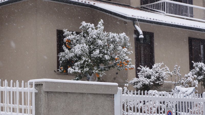 DSC01980.JPG (1.61 Мб) Просмотров: 28480 DSC01980.JPG