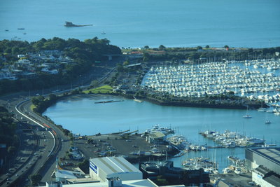 0226.JPG (771.37 Кб) Просмотров: 27124 0226.JPG