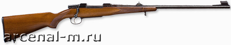 CZ_550__.30_06___4ef81a9cf1115.jpg