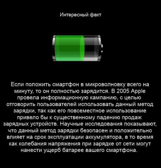  любопытных.jpg