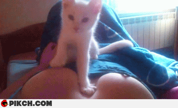  его месте должен быть я.gif