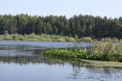 IMG_9671.jpg