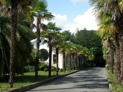 P7140367.jpg (824.51 Кб) Просмотров: 18070 P7140367.jpg