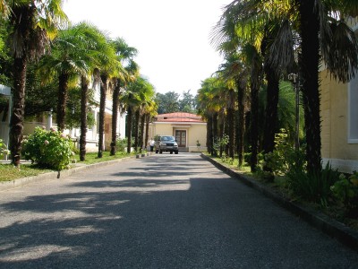 P7140368.jpg (761.95 Кб) Просмотров: 18052 P7140368.jpg