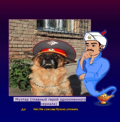 222.jpg