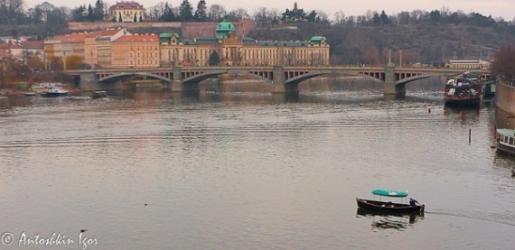 x_6c3898de.jpg