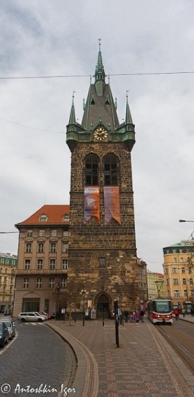 x_005044b0.jpg